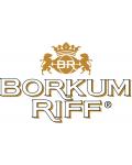 Borkum Riff (Дания)